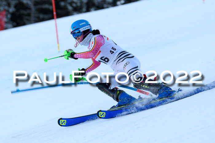 FIS AC NJC Damen + Herren Super-G