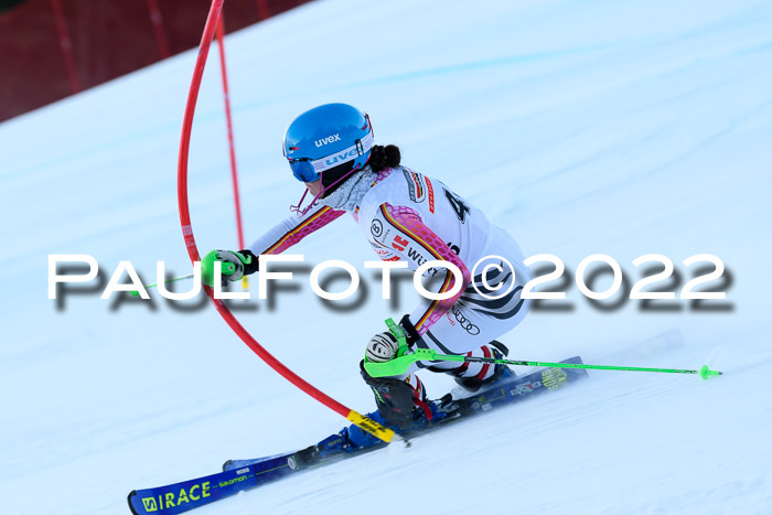 FIS AC NJC Damen + Herren Super-G