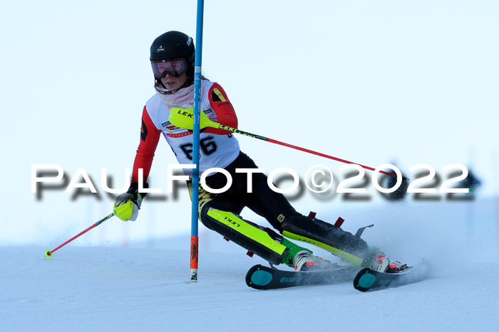 FIS AC NJC Damen + Herren Super-G