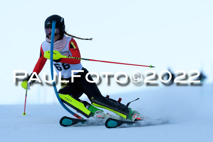 FIS AC NJC Damen + Herren Super-G