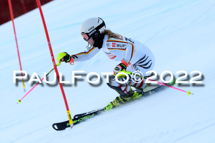 FIS AC NJC Damen + Herren Super-G