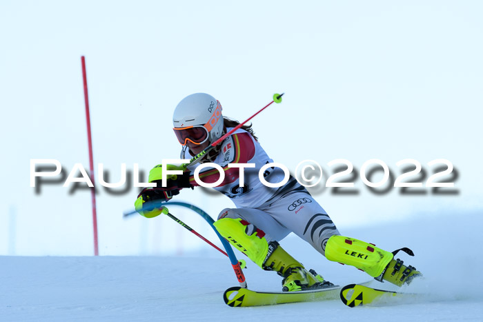 FIS AC NJC Damen + Herren Super-G