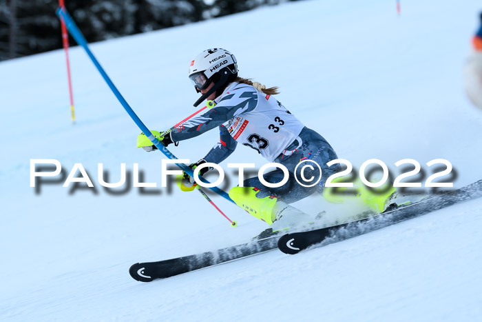 FIS AC NJC Damen + Herren Super-G