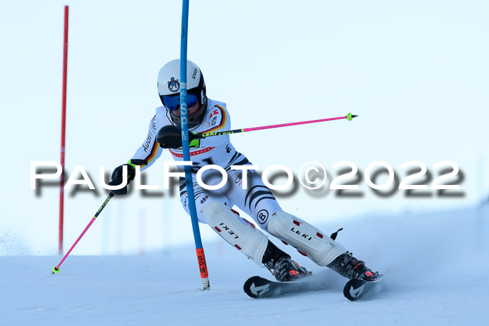 FIS AC NJC Damen + Herren Super-G