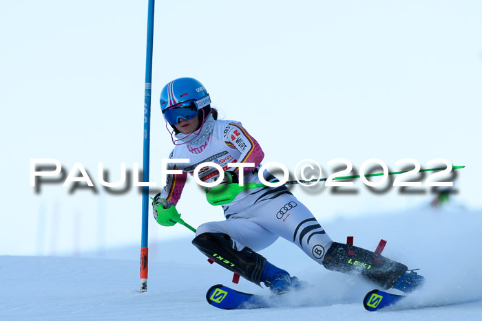 FIS AC NJC Damen + Herren Super-G