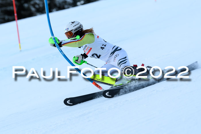 FIS AC NJC Damen + Herren Super-G