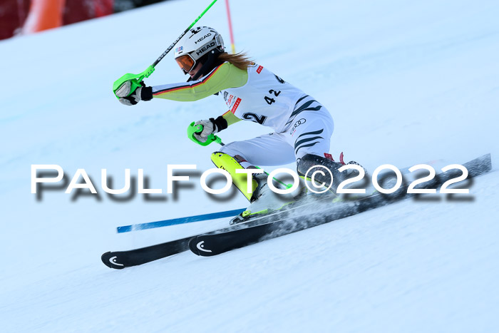 FIS AC NJC Damen + Herren Super-G