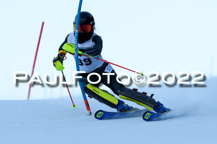 FIS AC NJC Damen + Herren Super-G