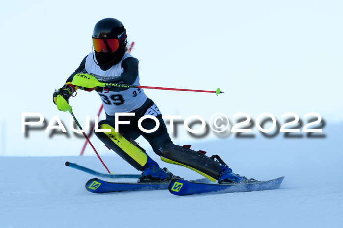 FIS AC NJC Damen + Herren Super-G