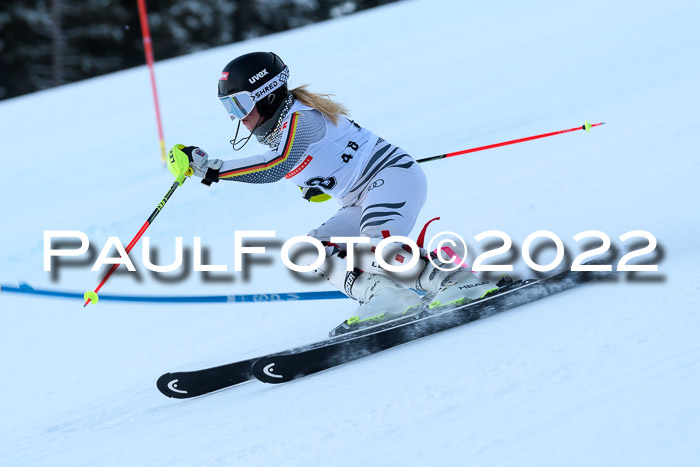 FIS AC NJC Damen + Herren Super-G