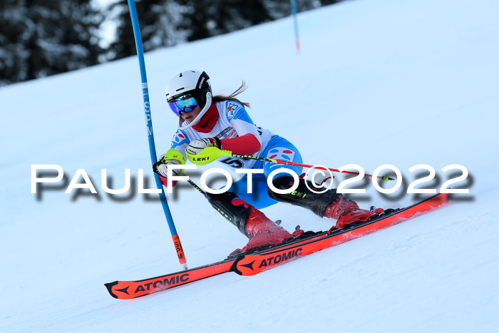 FIS AC NJC Damen + Herren Super-G