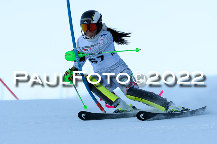 FIS AC NJC Damen + Herren Super-G