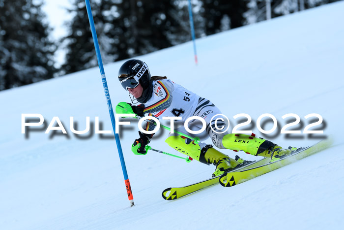 FIS AC NJC Damen + Herren Super-G