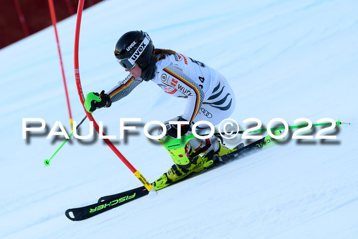 FIS AC NJC Damen + Herren Super-G