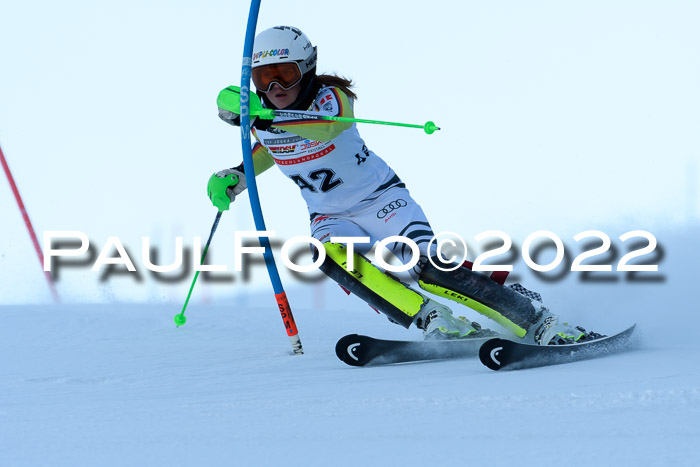 FIS AC NJC Damen + Herren Super-G