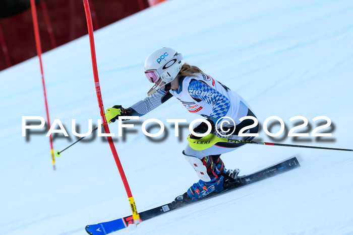 FIS AC NJC Damen + Herren Super-G