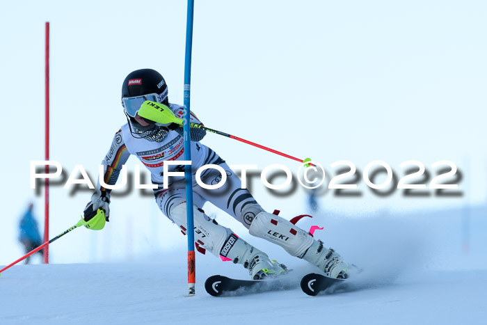 FIS AC NJC Damen + Herren Super-G