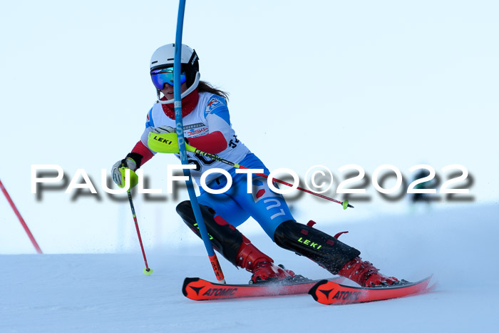 FIS AC NJC Damen + Herren Super-G