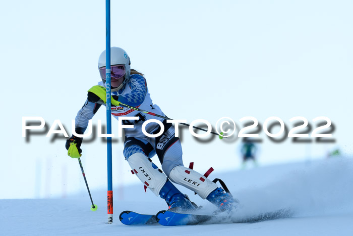 FIS AC NJC Damen + Herren Super-G