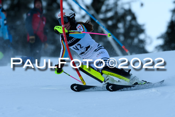 FIS AC NJC Damen + Herren Super-G