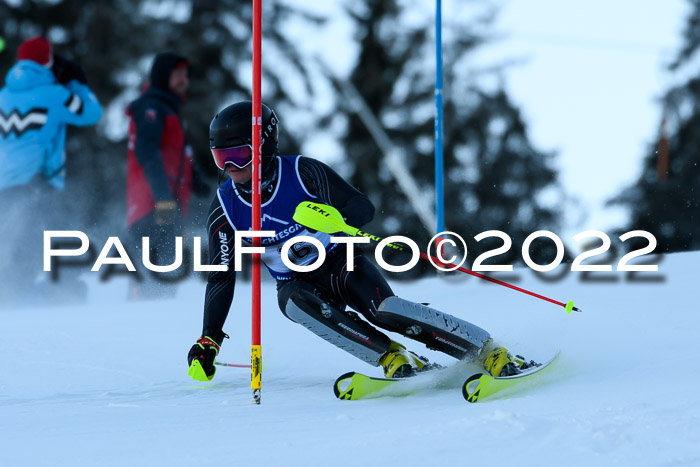 FIS AC NJC Damen + Herren Super-G