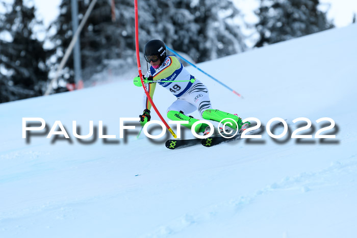 FIS AC NJC Damen + Herren Super-G