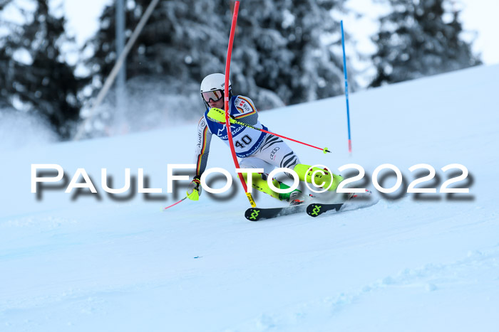 FIS AC NJC Damen + Herren Super-G