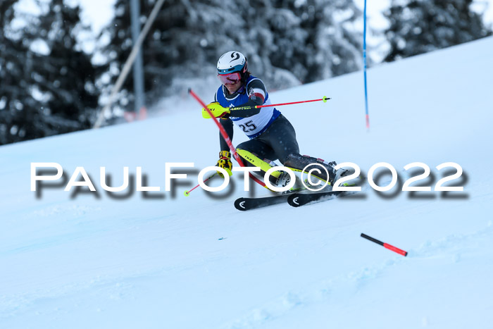 FIS AC NJC Damen + Herren Super-G