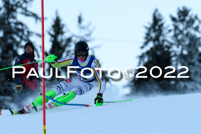 FIS AC NJC Damen + Herren Super-G