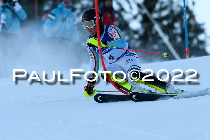 FIS AC NJC Damen + Herren Super-G