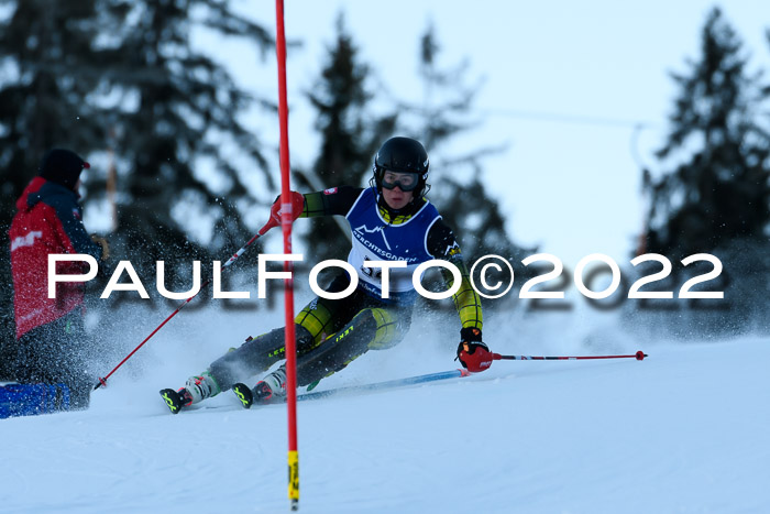 FIS AC NJC Damen + Herren Super-G