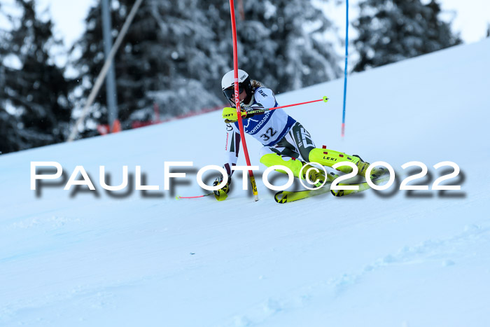 FIS AC NJC Damen + Herren Super-G