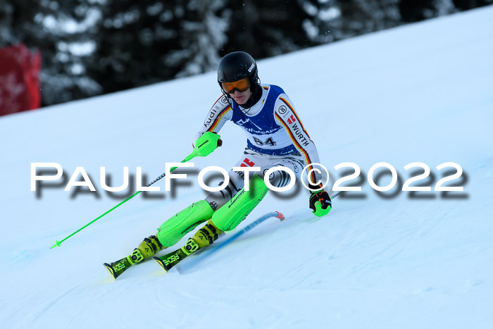 FIS AC NJC Damen + Herren Super-G