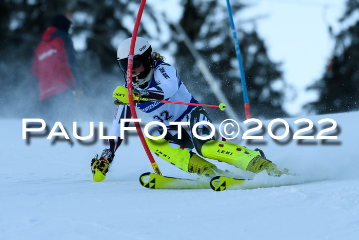 FIS AC NJC Damen + Herren Super-G