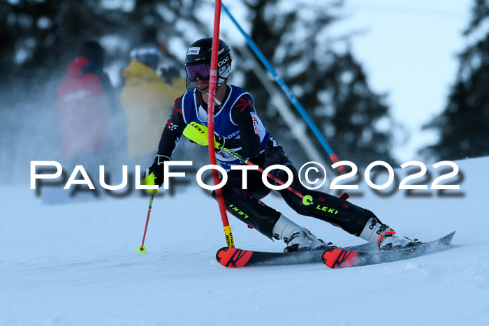 FIS AC NJC Damen + Herren Super-G