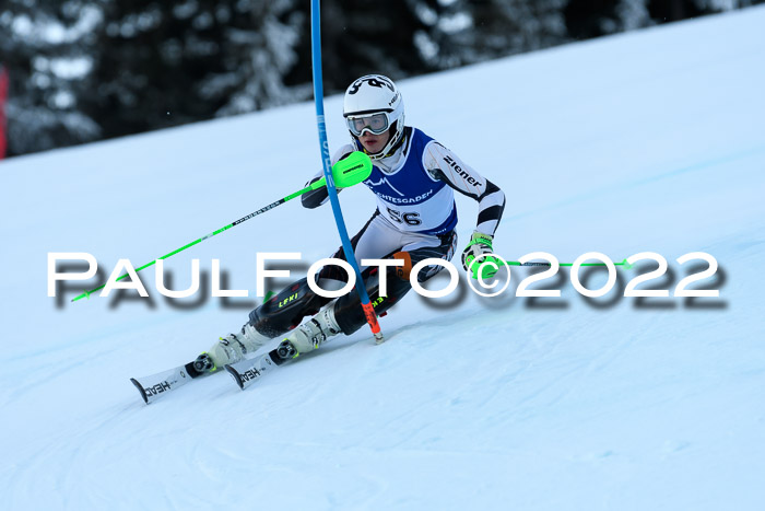 FIS AC NJC Damen + Herren Super-G