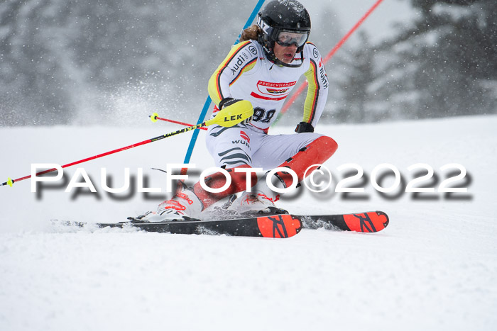 Dt. Schülercup U16 SG, 18.02.2020