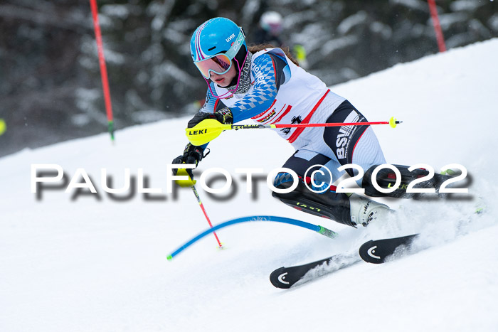 Dt. Schülercup U16 SG, 18.02.2020
