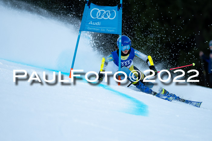 FIS Riesenslalom, ATA, Damen + Herren, 14.02.2022