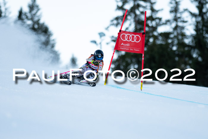 FIS Riesenslalom, ATA, Damen + Herren, 14.02.2022