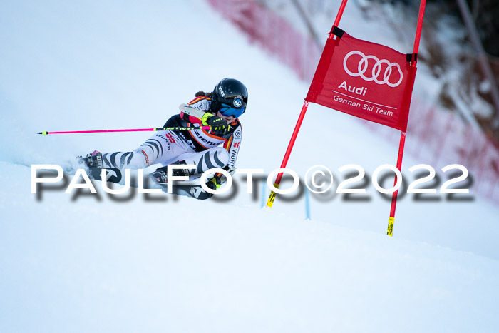 FIS Riesenslalom, ATA, Damen + Herren, 14.02.2022