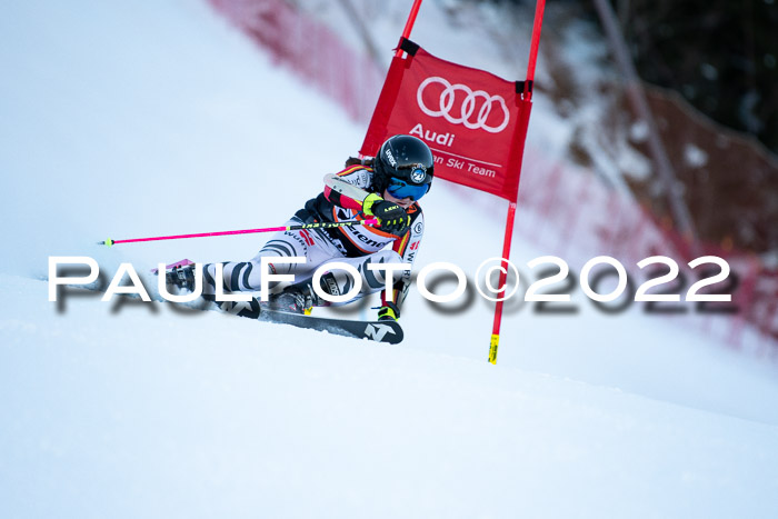 FIS Riesenslalom, ATA, Damen + Herren, 14.02.2022