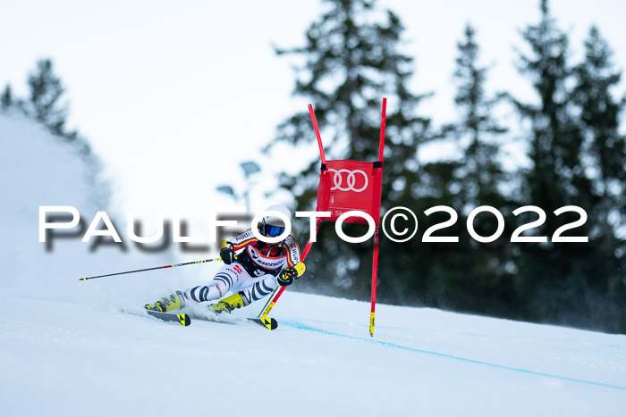 FIS Riesenslalom, ATA, Damen + Herren, 14.02.2022