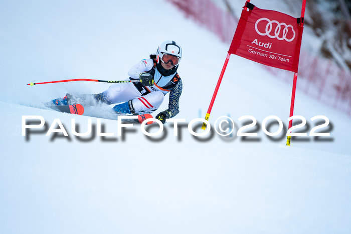 FIS Riesenslalom, ATA, Damen + Herren, 14.02.2022