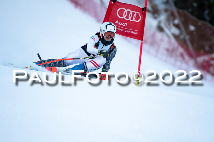 FIS Riesenslalom, ATA, Damen + Herren, 14.02.2022