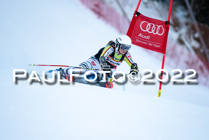 FIS Riesenslalom, ATA, Damen + Herren, 14.02.2022