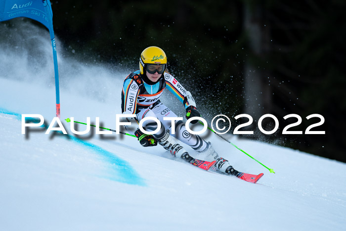 FIS Riesenslalom, ATA, Damen + Herren, 14.02.2022