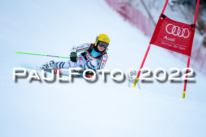 FIS Riesenslalom, ATA, Damen + Herren, 14.02.2022