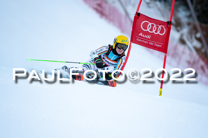 FIS Riesenslalom, ATA, Damen + Herren, 14.02.2022