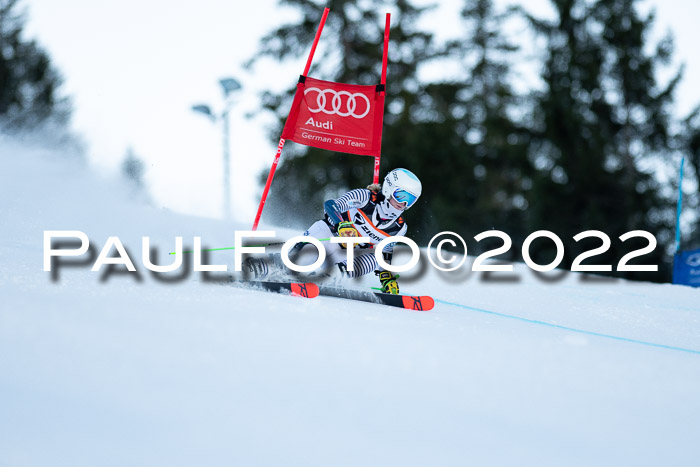 FIS Riesenslalom, ATA, Damen + Herren, 14.02.2022